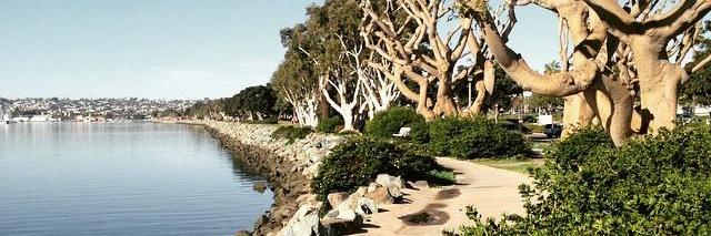 wellnessdefined's profile banner image
