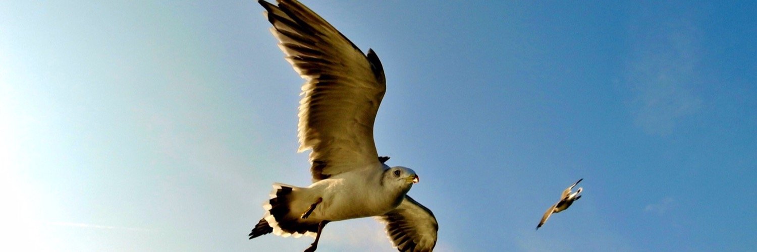 @babarot 🏔️ banner