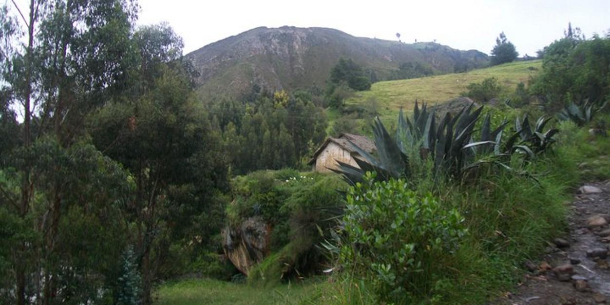 SiervAtenta's profile banner image