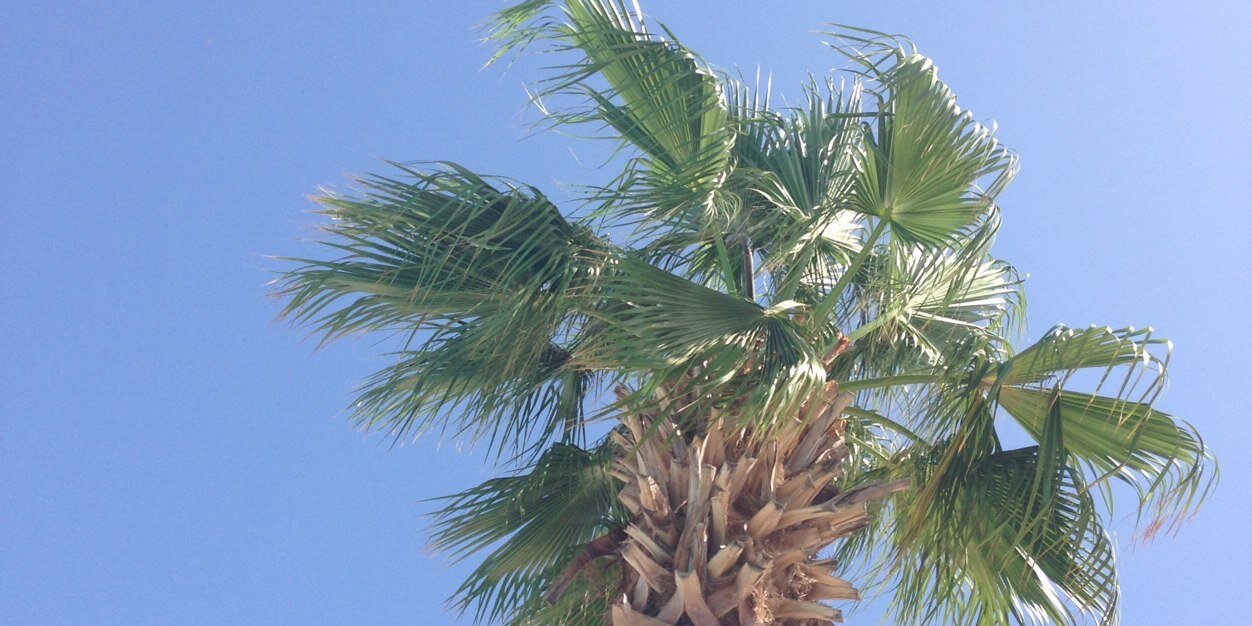 Lucy Sutton ✌️ banner