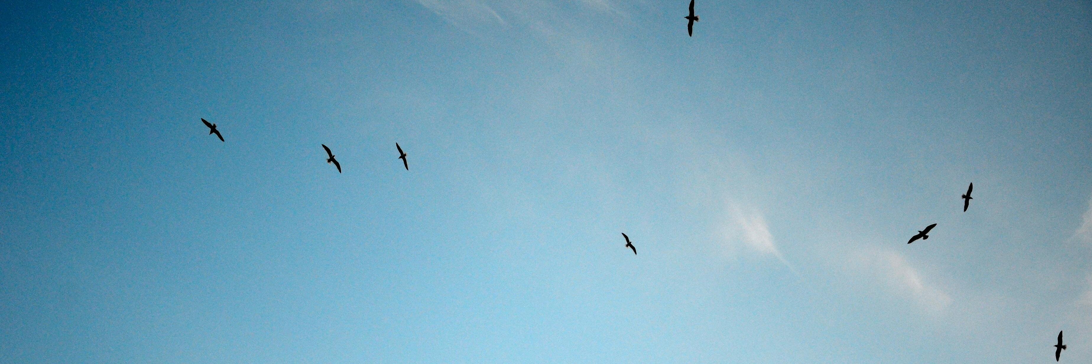 cC_L's profile banner image