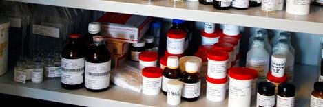 LeidenBioSciencePark banner