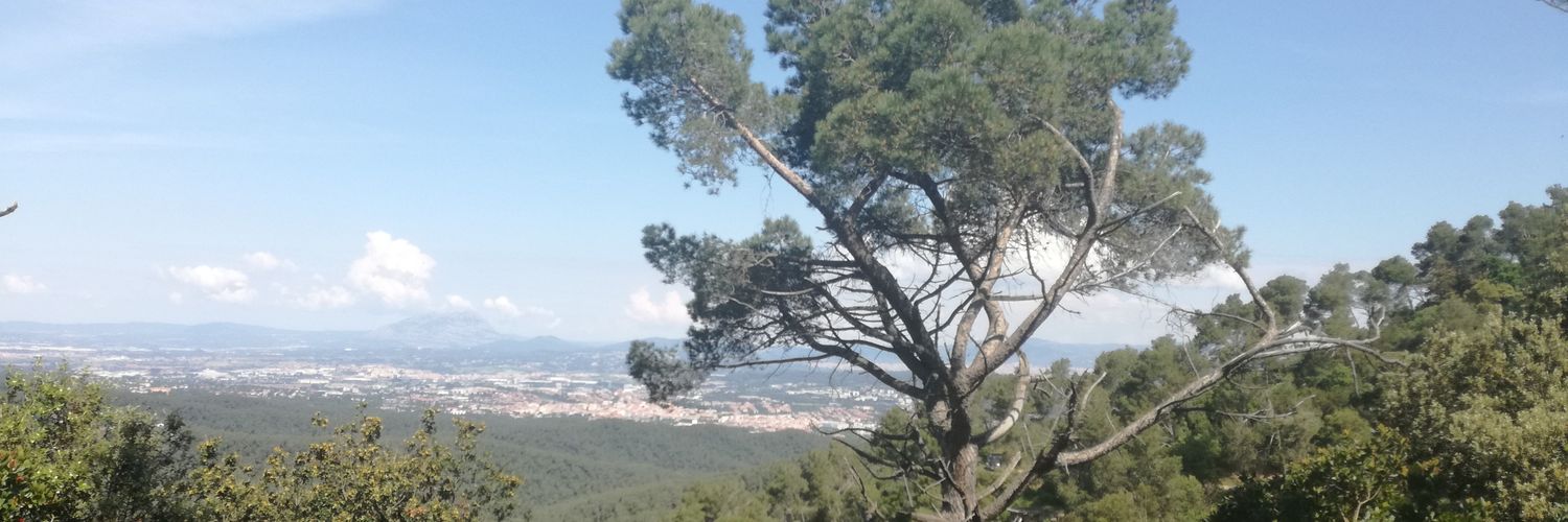 natigaitan74's profile banner image