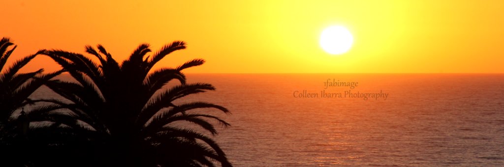 1fabimage's profile banner image