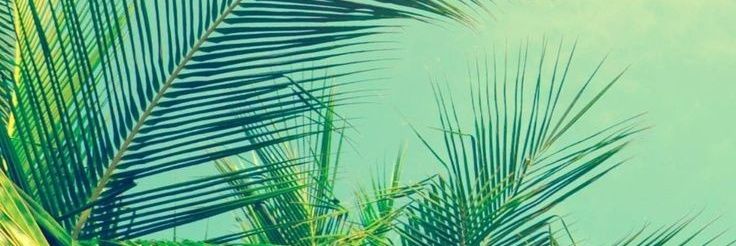 KCz_Finest's profile banner image