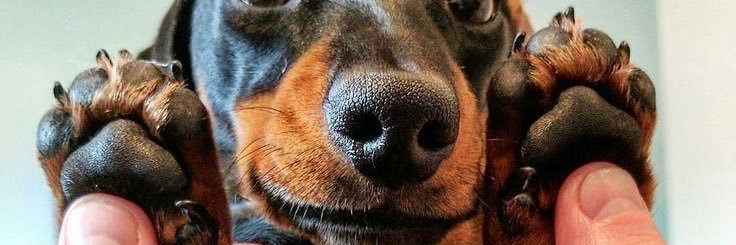 matheusanjs's profile banner image