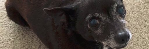 Natalie banner