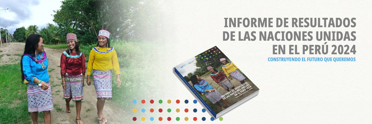 Naciones Unidas Perú banner