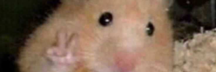 estoimuerta's profile banner image
