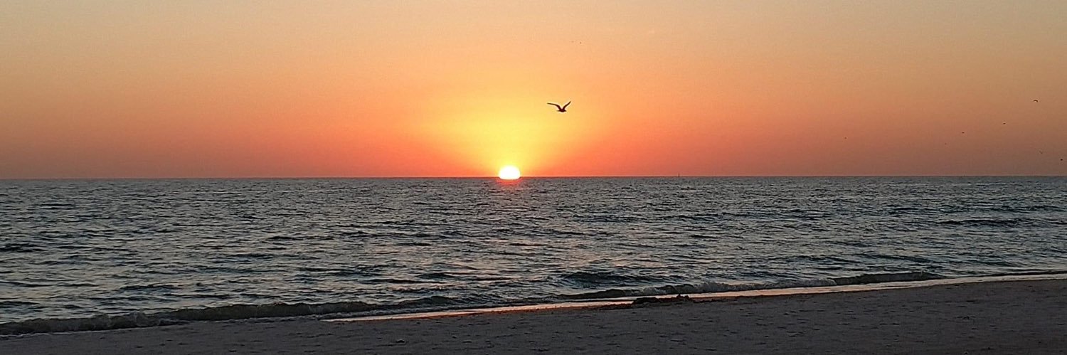 Brie Berkowitz banner