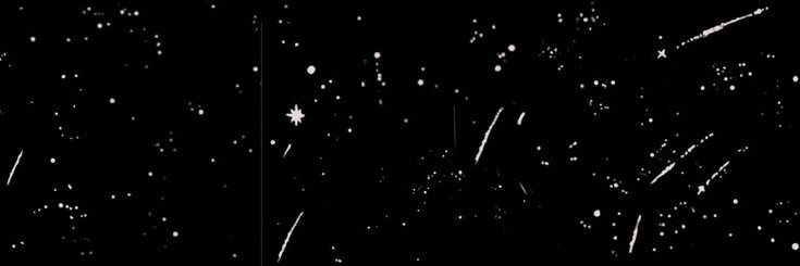 Martidebona's profile banner image