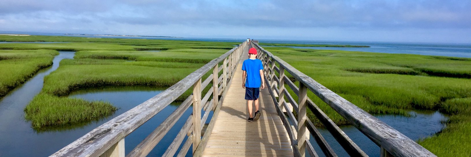 Mike Mullaney banner