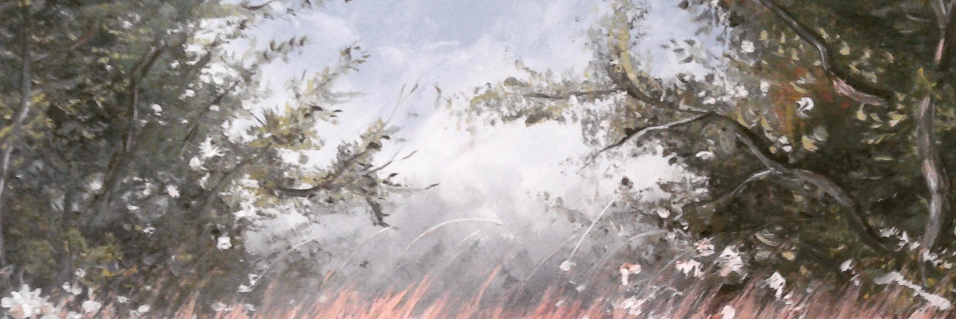 Ozan Cem Çakır(AB--) banner