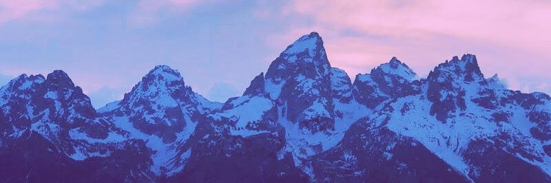 danicapelli's profile banner image