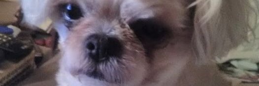 voodoo714's profile banner image