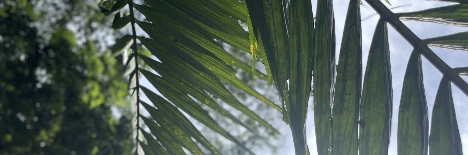 messodyna's profile banner image