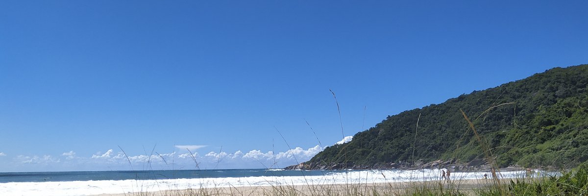 cibersale's profile banner image
