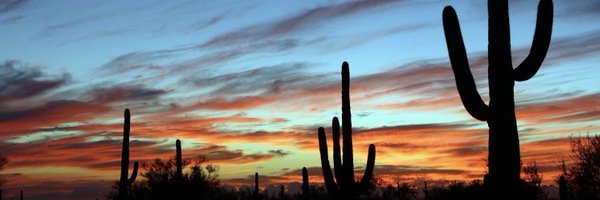 OCLawGal1 Profile Banner