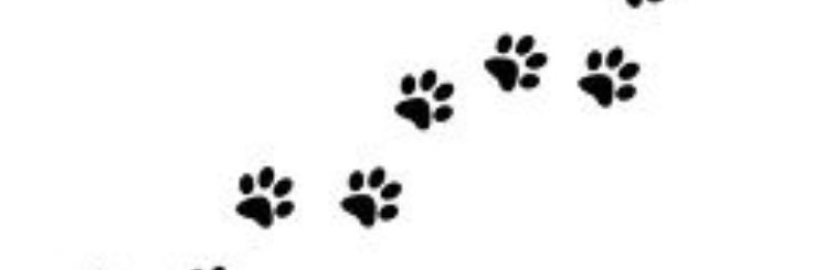 Kiera Hodgson banner