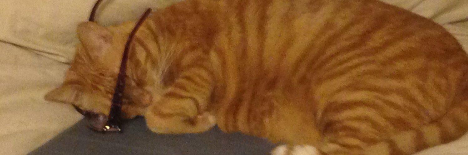 mthesimon's profile banner image
