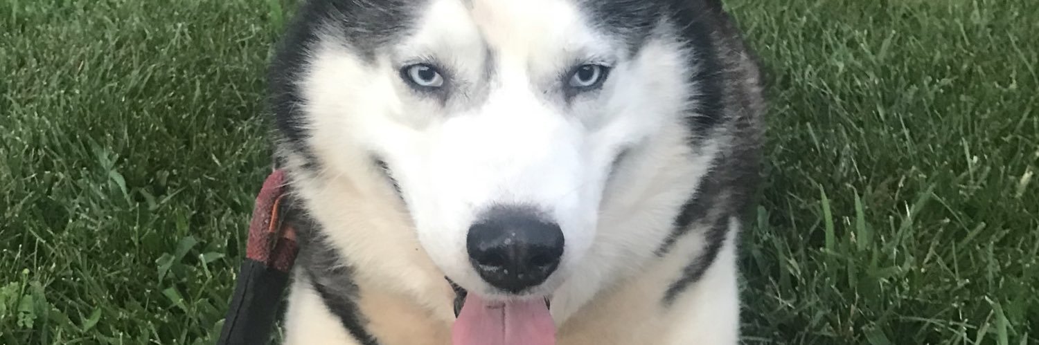 RyanColby264's profile banner image