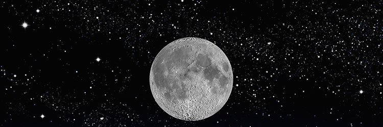 N1M8U5 banner