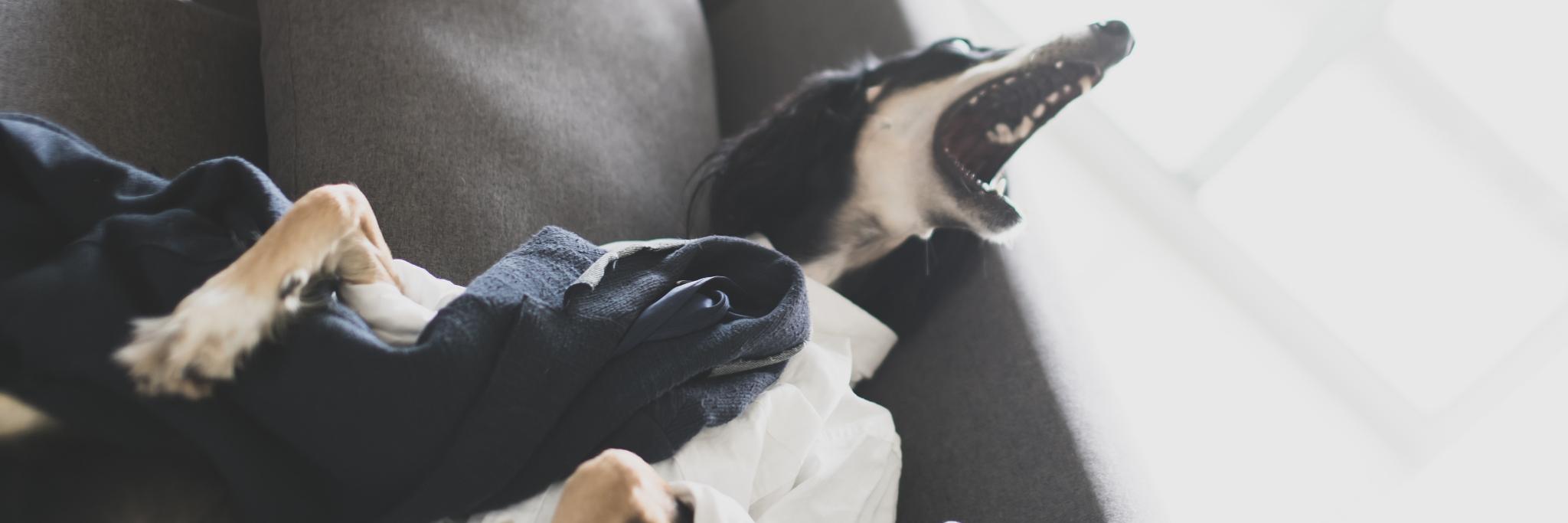 Литания о Фронтенде banner