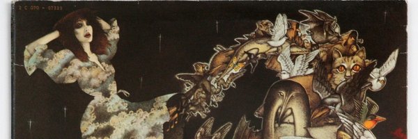 FourStringDave Profile Banner