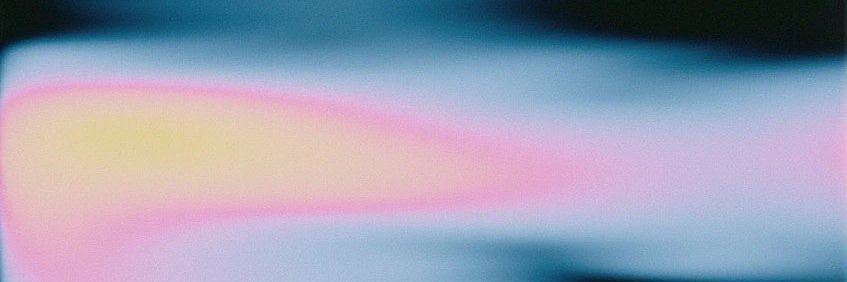 diego banner