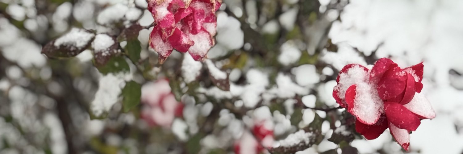 JenniferEdward's profile banner image