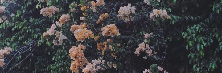 Aliasalaah's profile banner image