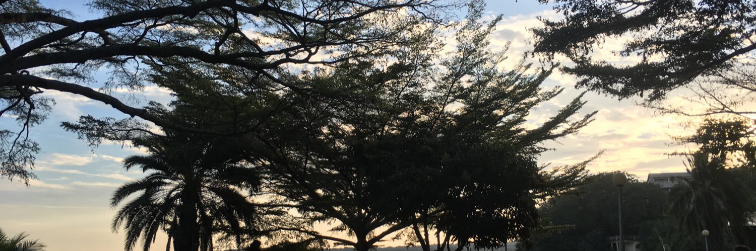SaraAmin5's profile banner image