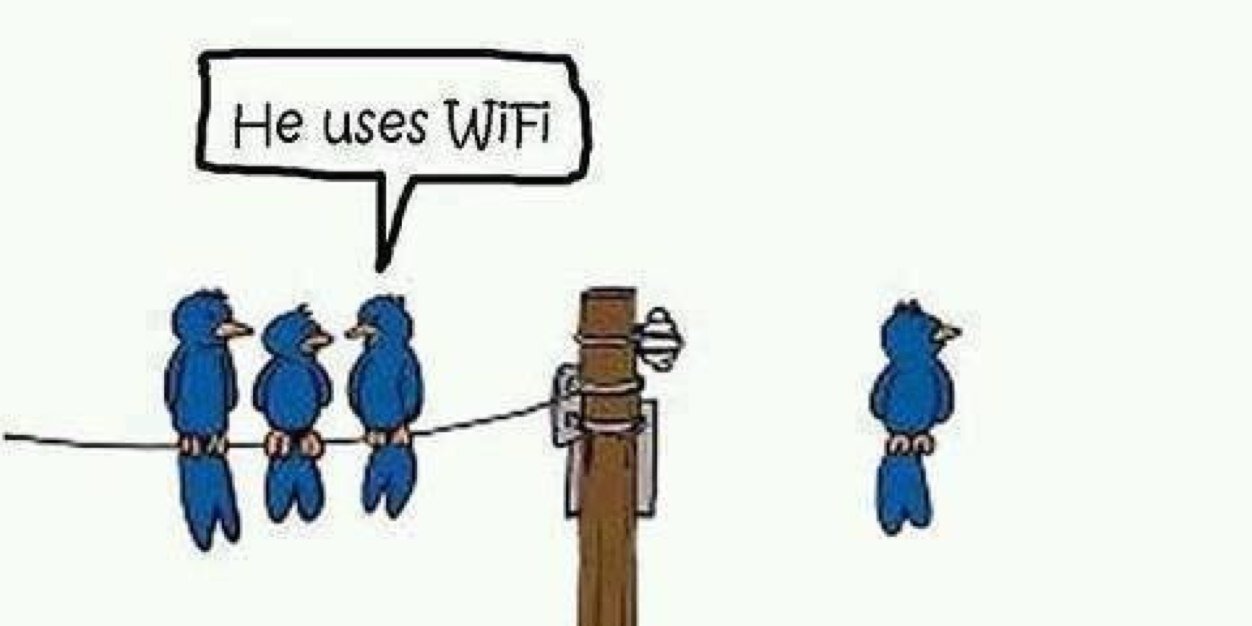 Elizabeth Drake banner