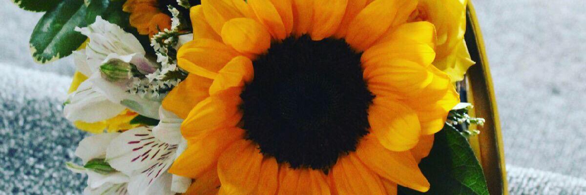 HuntingGoddess1's profile banner image