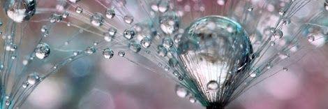 perlapere's profile banner image