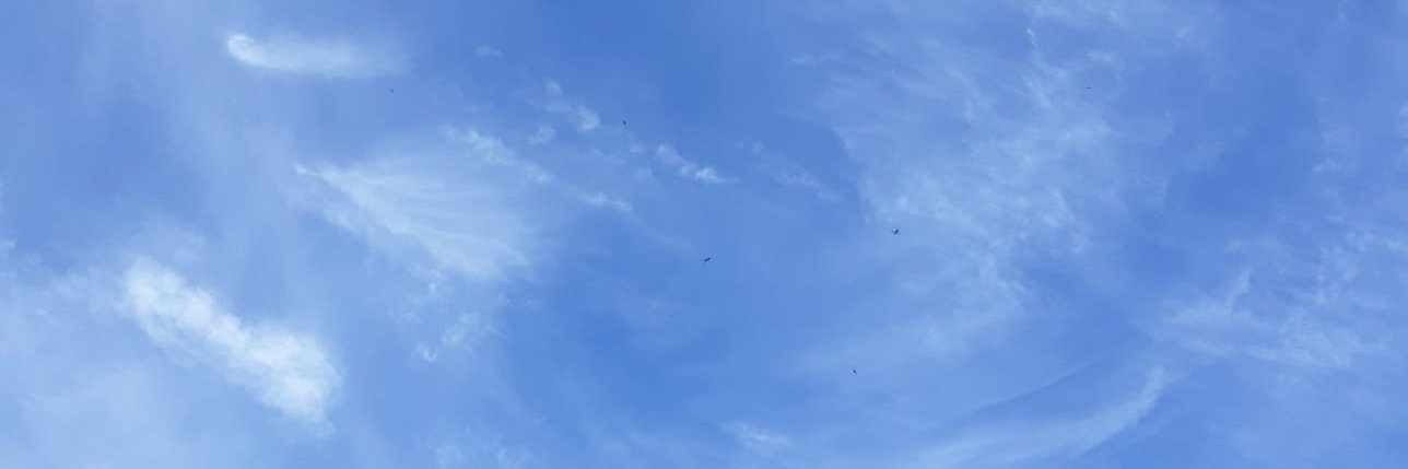 philgthomson's profile banner image