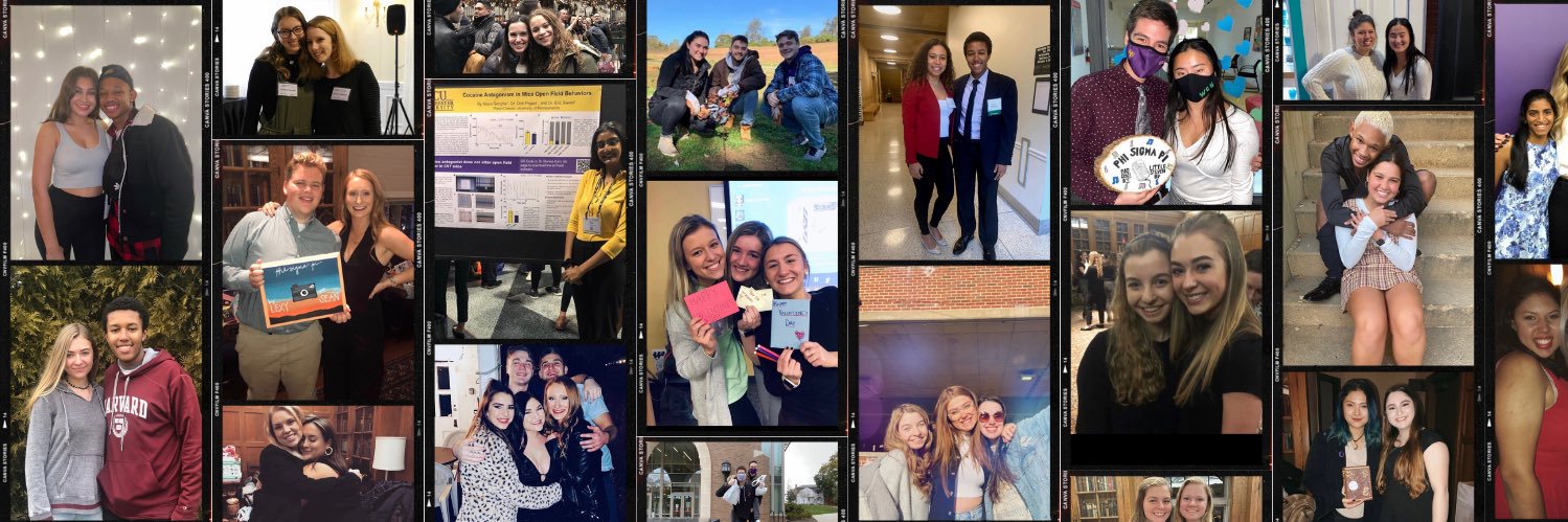 phisigmapiae's profile banner image