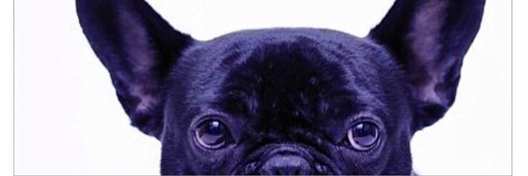 hothearted's profile banner image