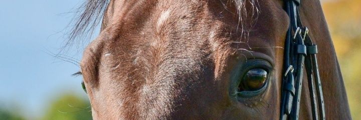 theworldismad12's profile banner image