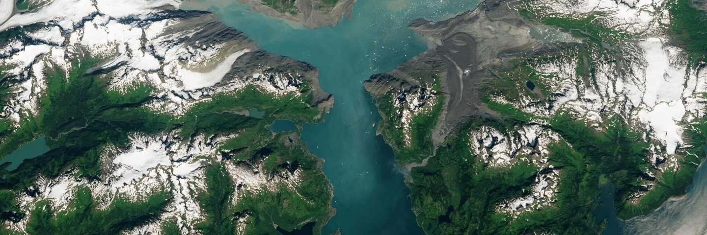 Earth Science Information Partners (ESIP) banner