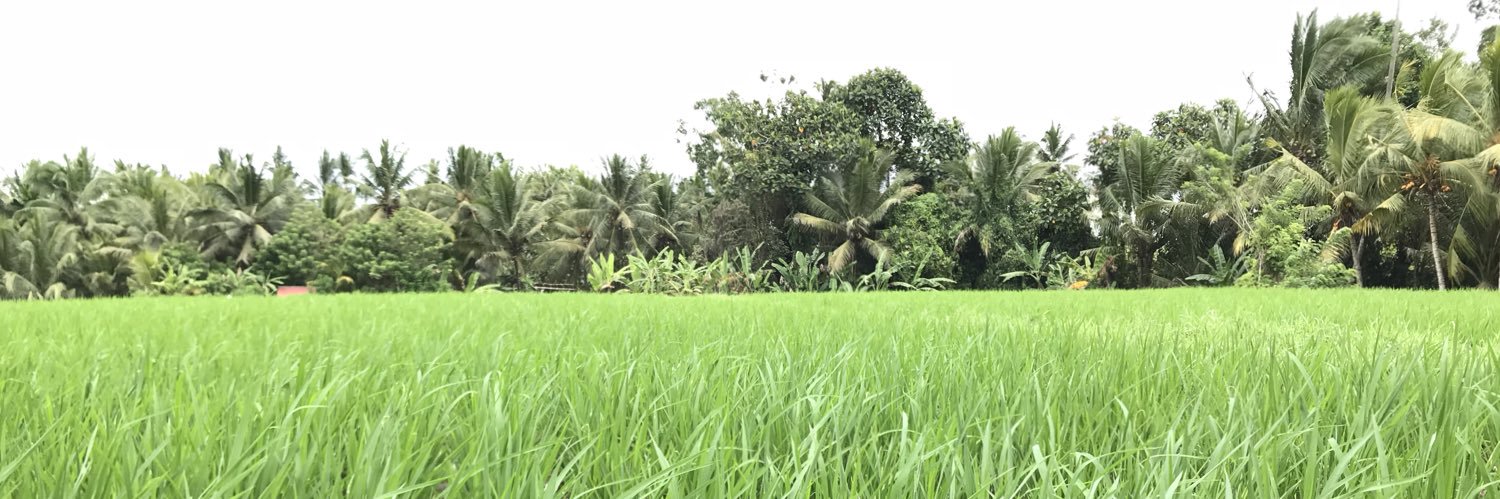 jphillihere's profile banner image