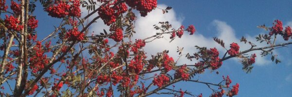 RuralGurn Profile Banner