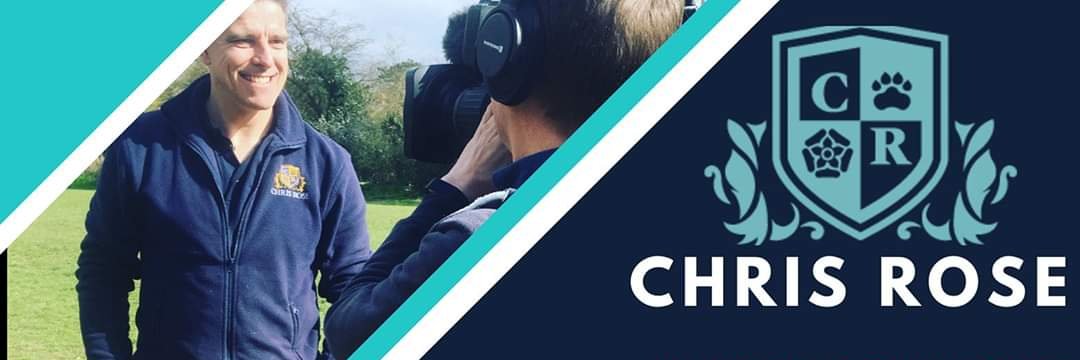 UKDogbehaviour's profile banner image