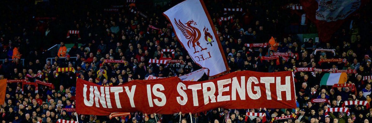 owylfc's profile banner image