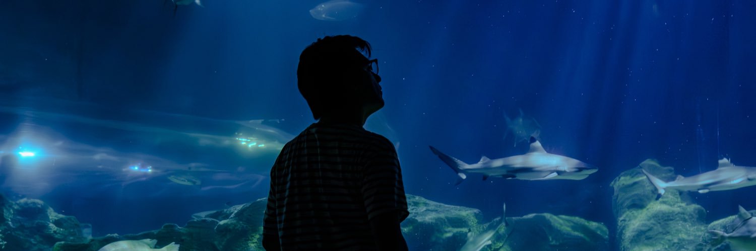 fsgrajales_'s profile banner image