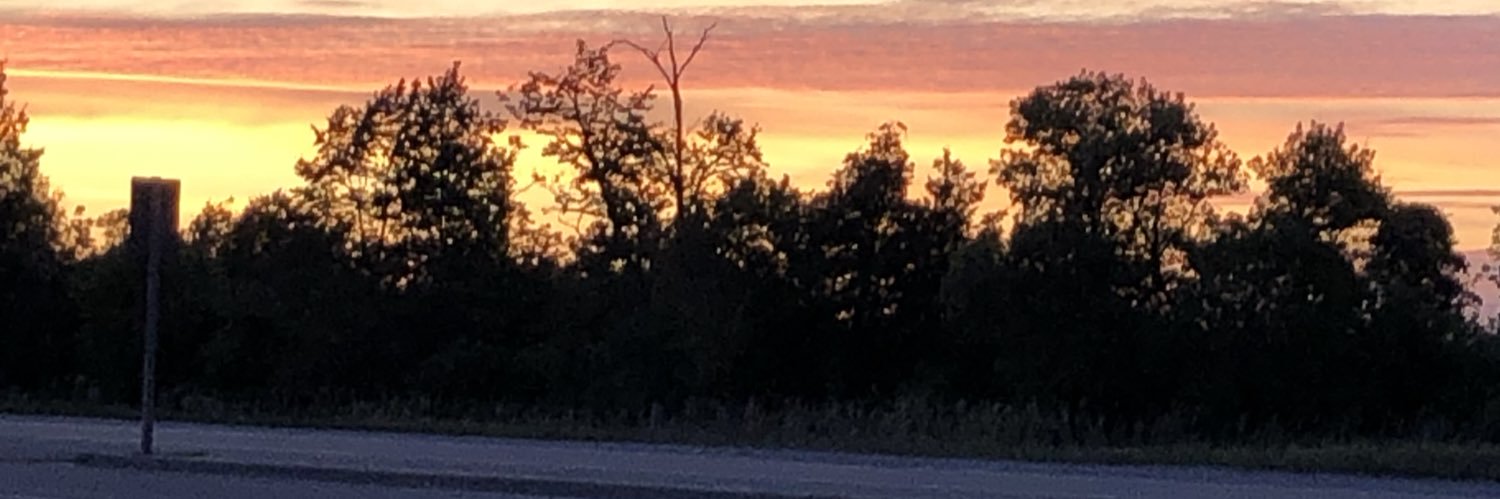 1Sherrie1's profile banner image