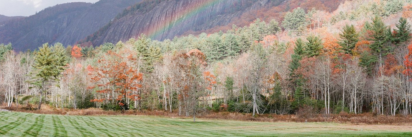 Carrie Crimins banner