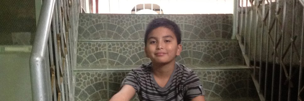 ronald banner