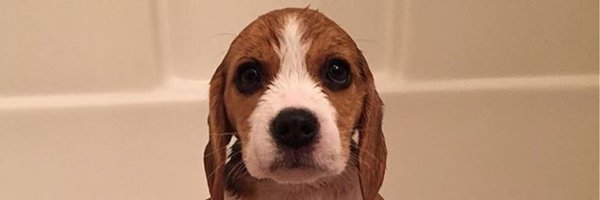 MiltMonster Profile Banner
