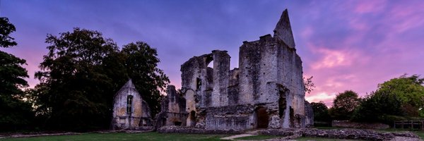 angelfairyable Profile Banner